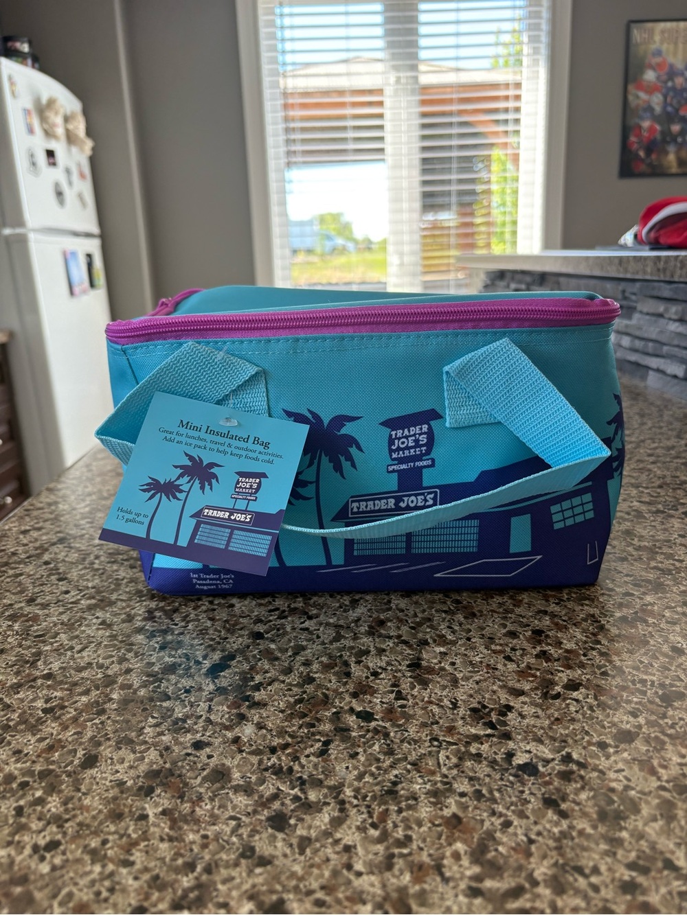 Trader Joe's Teal & Purple Mini Insulated Lunch Bag